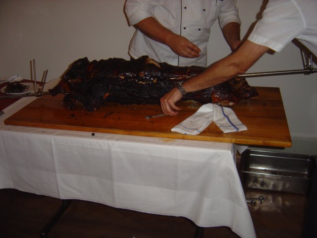 cadi60.jpg